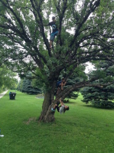 Recapture wild health; tree climb