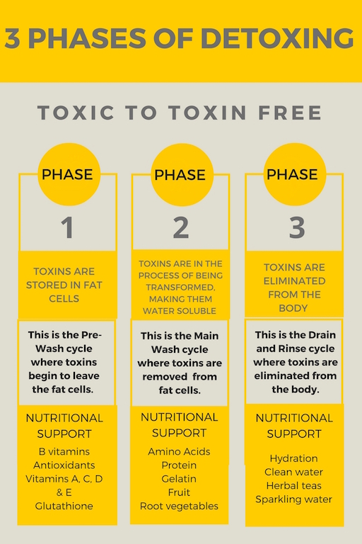 This infographic highlights the three phases of a detox and what happens in the body and what nutritional support is needed. 